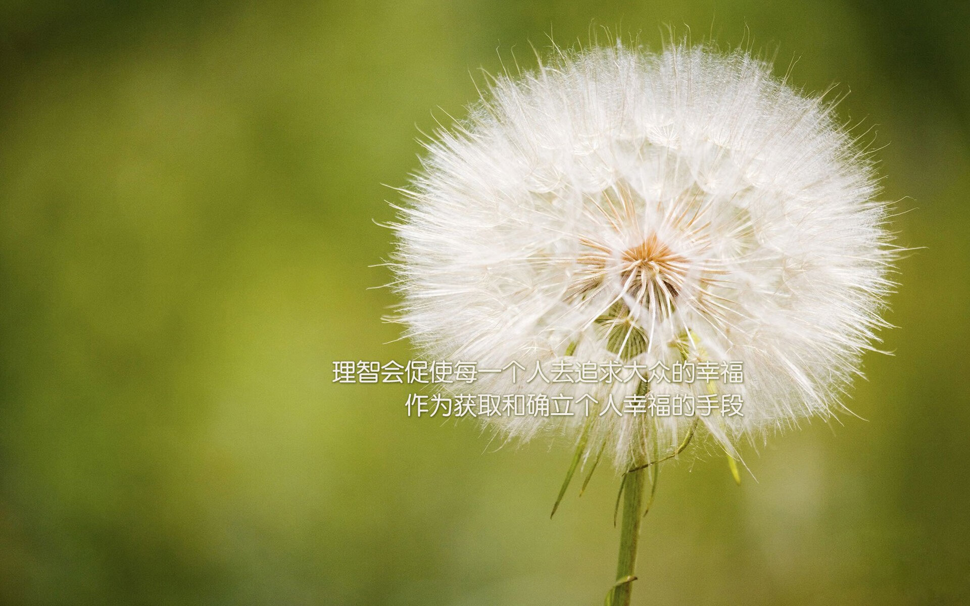 【燃爆】墨西哥足球队雪地开挂,狂进5球!,墨西哥踢足球厉害吗