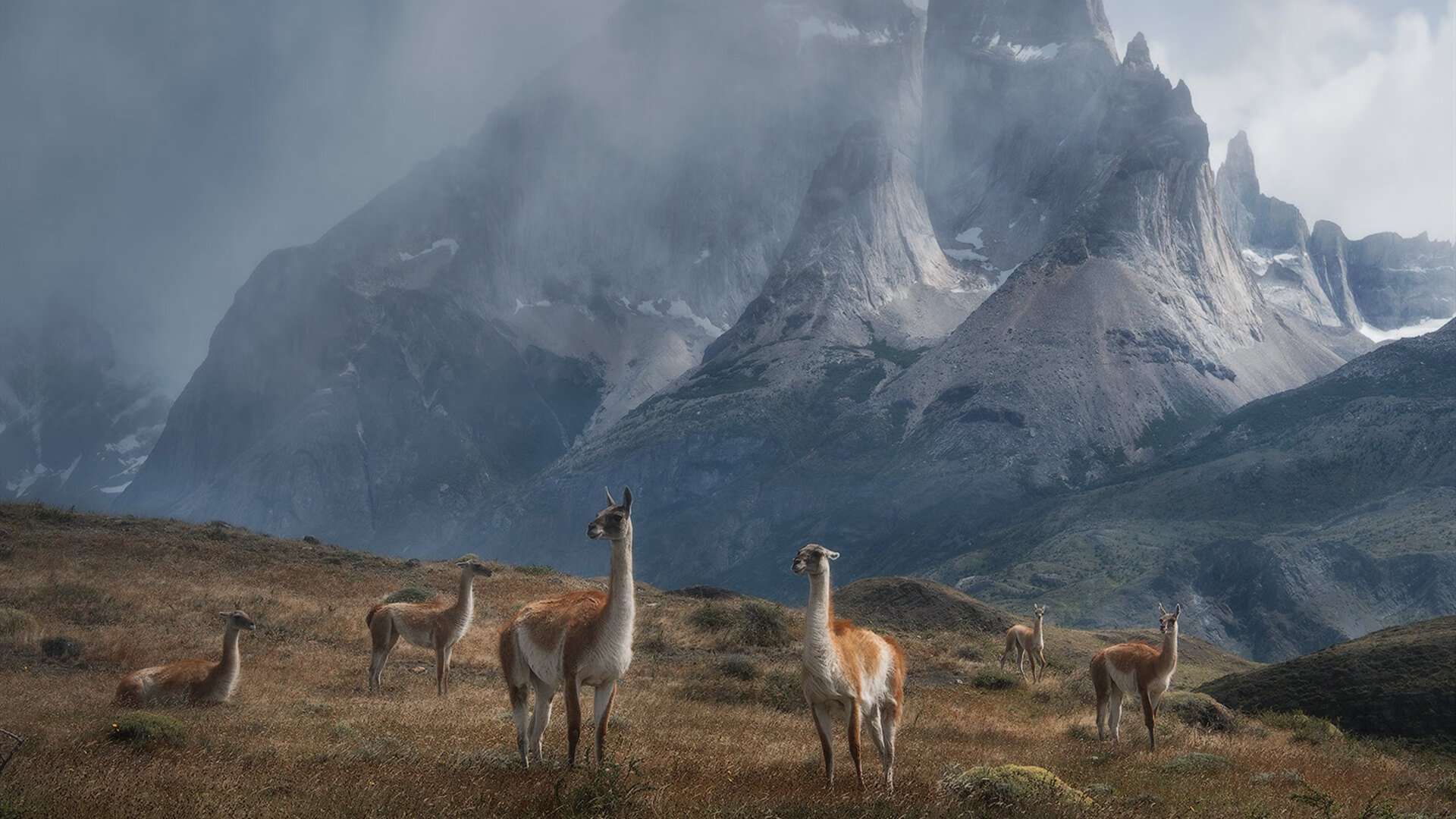 宏观分析：联盟今季战绩变化的深层原因，联盟战绩时间是开始时间还是结束时间