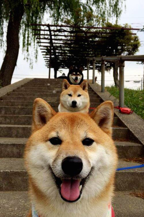 快船球员集体捐款，支持洛杉矶流浪汉庇护所，快船队搬离洛杉矶