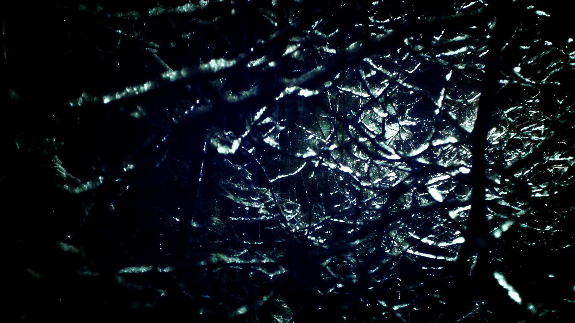 快船球员集体捐款，支持洛杉矶流浪汉庇护所，快船队搬离洛杉矶