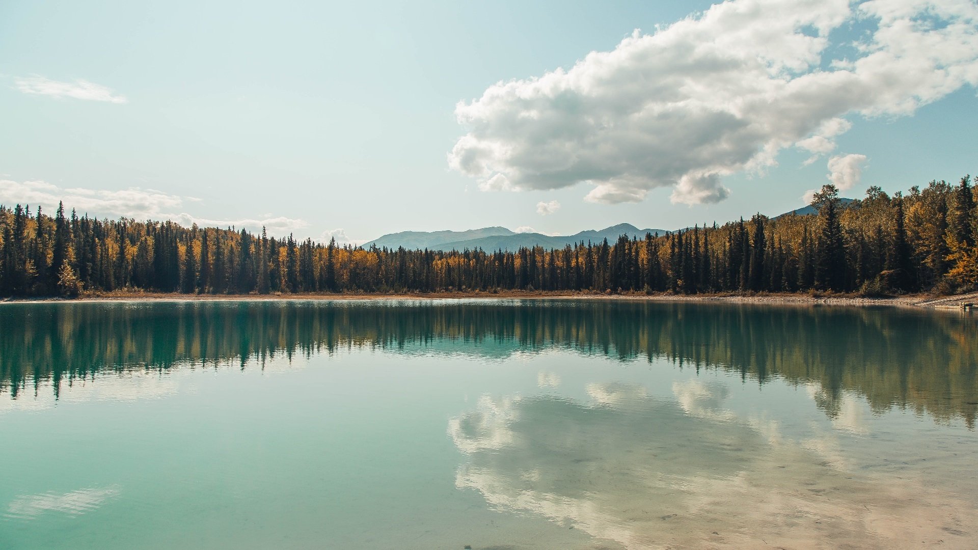 乡村运动会：乡土文化的新生力量，乡村运动会作文