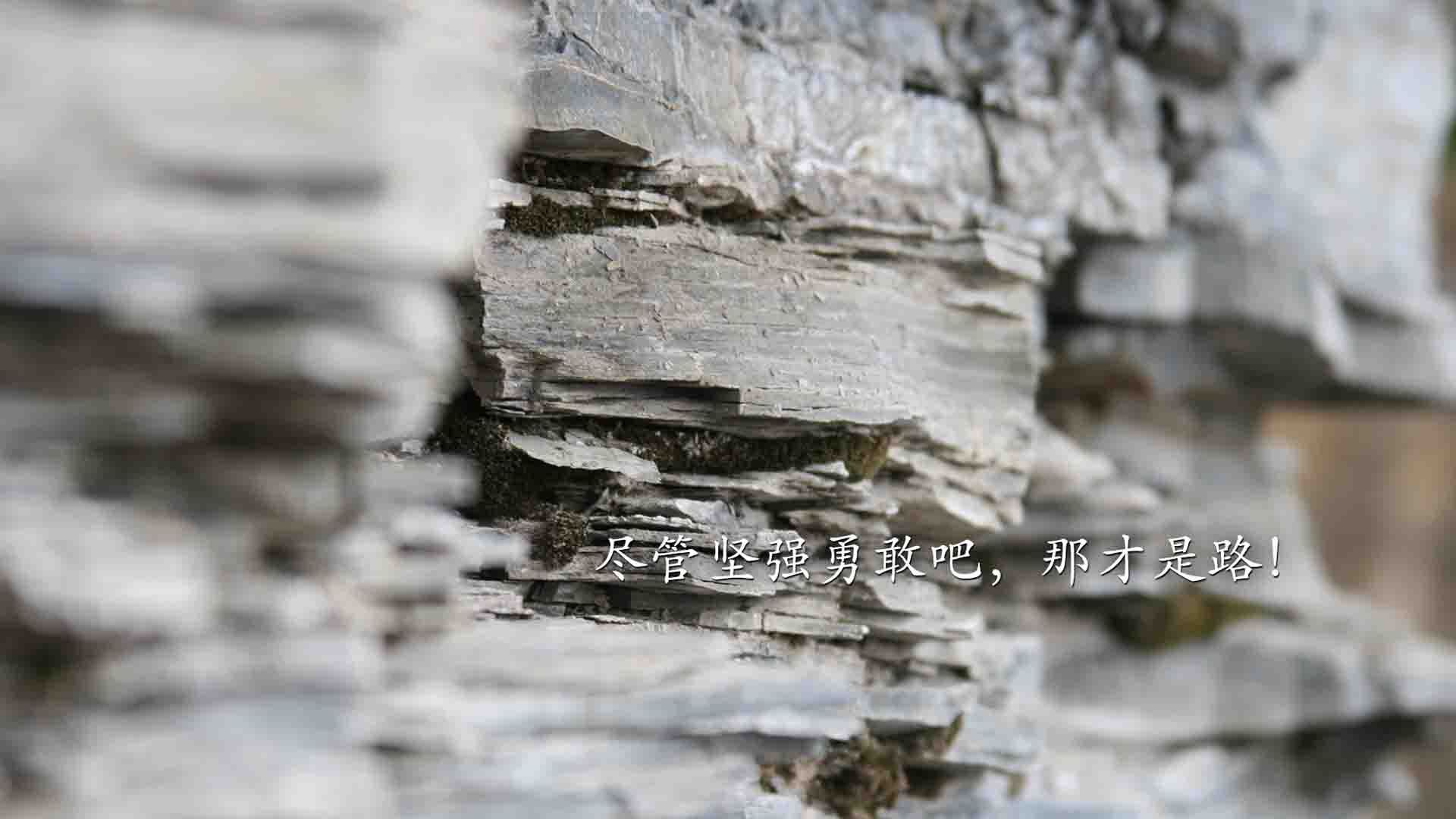 利兹联再迎重要胜利,稳固保级底线,利兹联官推